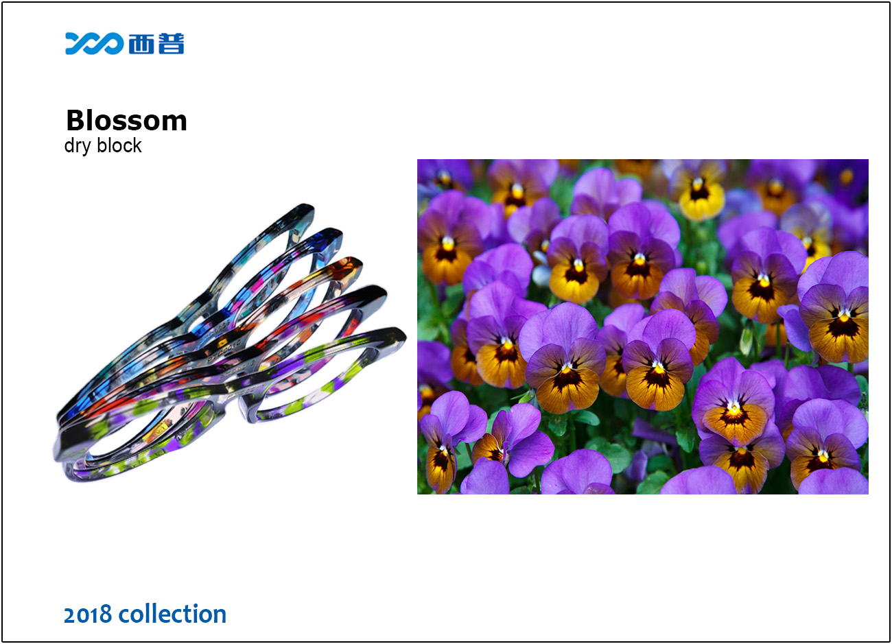 2018 collection of Blossom